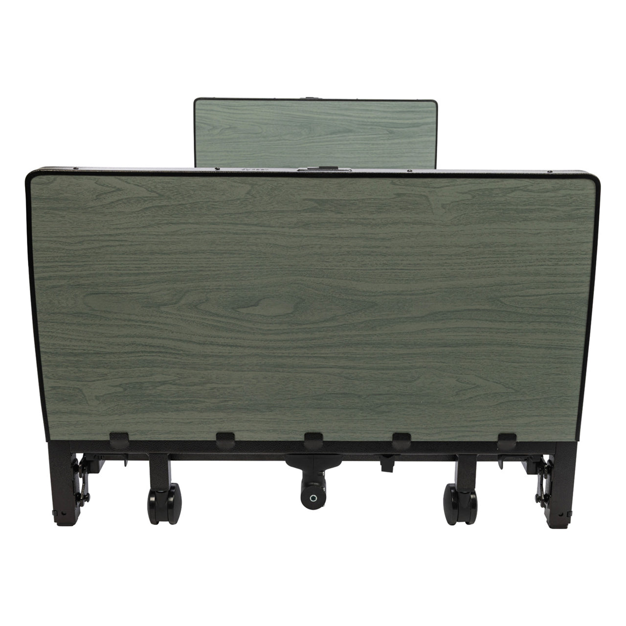 Protekt Akra FE full electric hospital bed